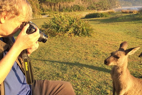 Highlights Of The Eurobodalla (half Day Private Tour) - Surfers Gold Coast 2