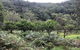 Kayak Camping Adventure To Marramarra Orchard - thumb 1