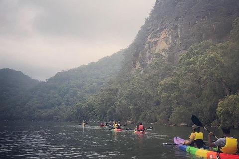 Kayak Camping Adventure To Marramarra Orchard - Surfers Gold Coast 16