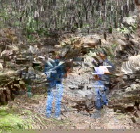 Newnes Ruins Walking Tour - Surfers Gold Coast