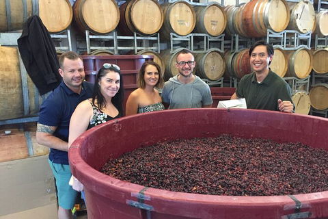 Hunter Valley Small Group Wine, Gin, Cheese & Chocolate Tour - Surfers Gold Coast 0