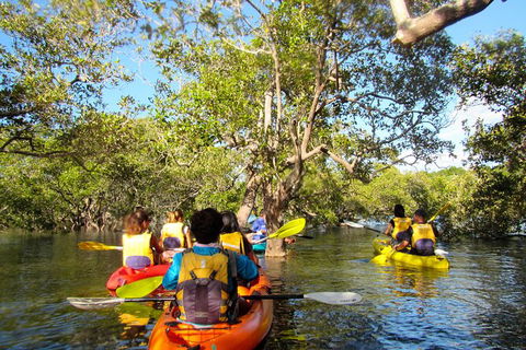 2-Hour Rental Kayak Double In Brunswick River - Surfers Gold Coast 2