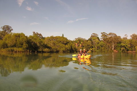 2-Hour Rental Kayak Double In Brunswick River - Surfers Gold Coast 5