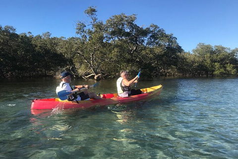 2-Hour Rental Kayak Double In Brunswick River - Surfers Gold Coast 4