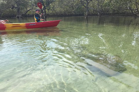 2-Hour Rental Kayak Double In Brunswick River - Surfers Gold Coast 6