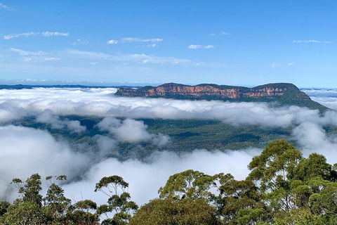 Taste Of The Blue Mountains - Lunch & Wine Tasting, Beer, Cider & Gin Tasting - Surfers Gold Coast 3