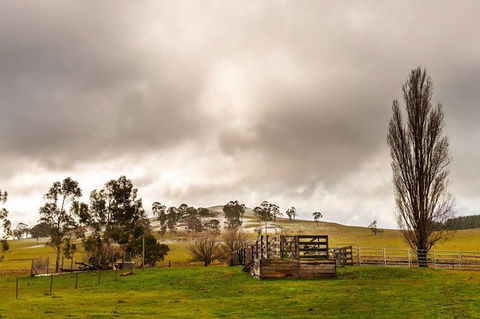 Paddock To Plate Farm Tour And Tasting - Surfers Gold Coast 0