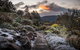 Blue Mountains Botanic Garden And Bilpin Tour From Katoomba With Cider Tasting - thumb 2