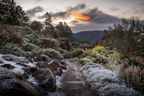 Blue Mountains Botanic Garden And Bilpin Tour From Katoomba With Cider Tasting - Surfers Gold Coast 2