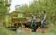 Blue Mountains Botanic Garden And Bilpin Tour From Katoomba With Cider Tasting - thumb 0