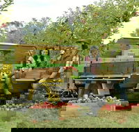 Blue Mountains Botanic Garden and Bilpin Tour from Katoomba with Cider Tasting - Surfers Gold Coast
