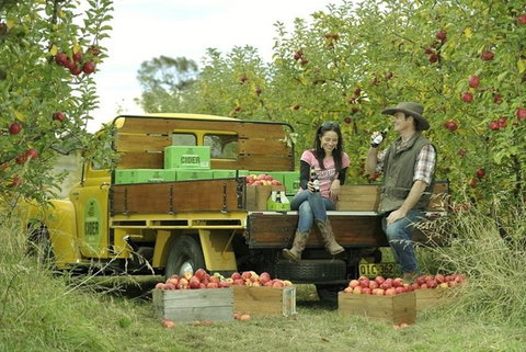 Blue Mountains Botanic Garden And Bilpin Tour From Katoomba With Cider Tasting - Surfers Gold Coast 0