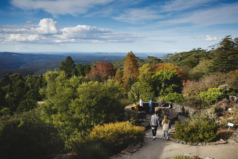Blue Mountains Botanic Garden And Bilpin Tour From Katoomba With Cider Tasting - Surfers Gold Coast 5