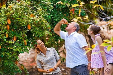 Full-Day Guided Tour Byron Bay With Pickup - Surfers Gold Coast 1