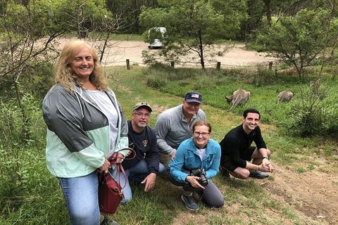 Full-Day Guided Tour Of Blue Mountains With Pick Up - Surfers Gold Coast 2