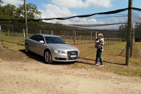 The Secret Vines Experience Port Macquarie - Surfers Gold Coast 0