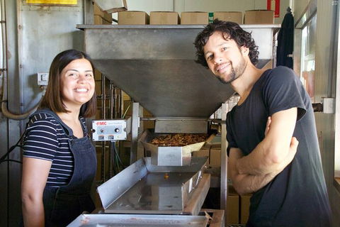 Pecan Farm Tour And Workshop, Byron Bay Hinterland - Surfers Gold Coast 7