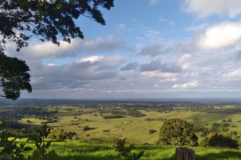 Pecan Farm Tour And Workshop, Byron Bay Hinterland - Surfers Gold Coast 1