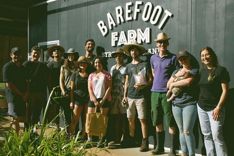 Pecan Farm Tour And Workshop, Byron Bay Hinterland - Surfers Gold Coast 0