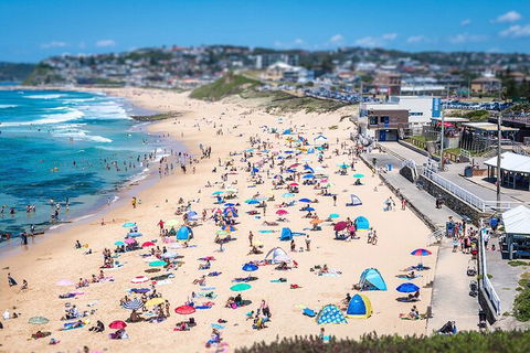 Newcastle Scenic Explorer - 2 Hour Tour By Minibus - Surfers Gold Coast 6