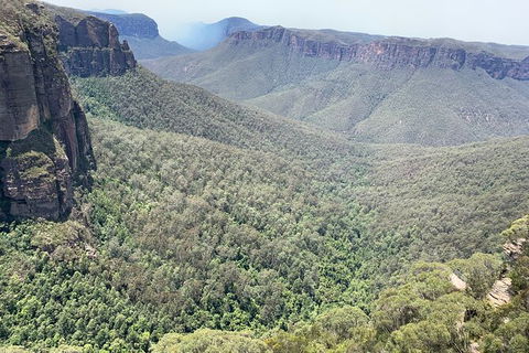Blue Mountains Private Bus Tour From Sydney, Plus Featherdale Aussie Animal Park - Surfers Gold Coast 3