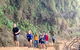 Blue Mountains Private Bus Tour From Sydney, Plus Featherdale Aussie Animal Park - thumb 7