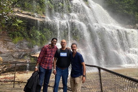 Blue Mountains Highlights & Wildlife Park - Surfers Gold Coast 4