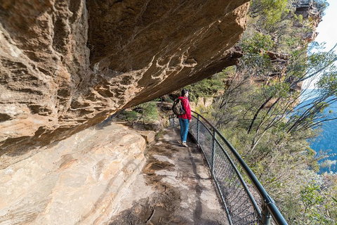 Blue Mountains Highlights & Wildlife Park - Surfers Gold Coast 0
