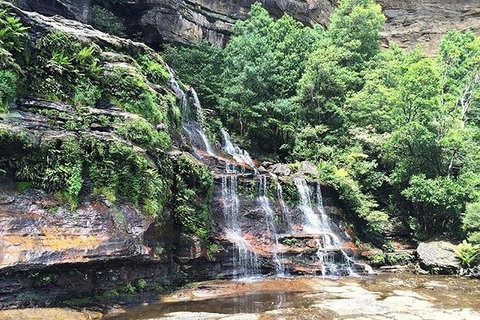 Blue Mountains Highlights & Wildlife Park - Surfers Gold Coast 8