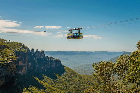 Blue Mountains Highlights, Wildlife Park And Scenic World Full Day Private Tour - Surfers Gold Coast 0