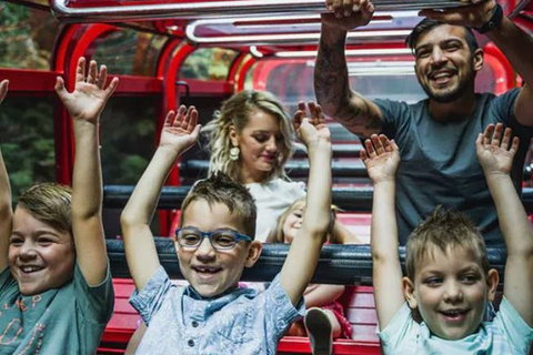 Blue Mountains Highlights, Wildlife Park And Scenic World Full Day Private Tour - Surfers Gold Coast 5