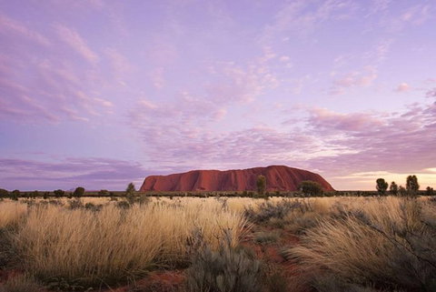 Explore Uluru: 7 Hours Guide Tour At Sunrise With Light Breakfast - Surfers Gold Coast 4