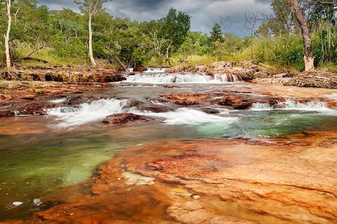 Full-Day Private Guided Tour To Litchfield National Park - Surfers Gold Coast 14
