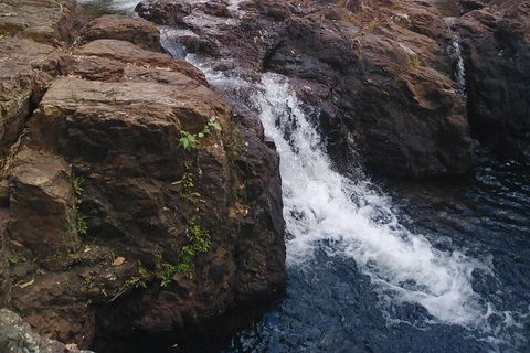 Full-Day Private Guided Tour To Litchfield National Park - Surfers Gold Coast 8
