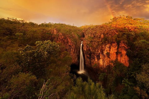 Full-Day Private Guided Tour To Litchfield National Park - Surfers Gold Coast 20