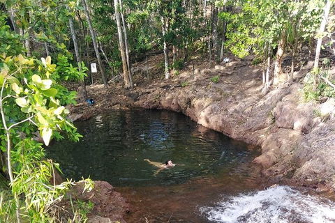 Full-Day Private Guided Tour To Litchfield National Park - Surfers Gold Coast 18