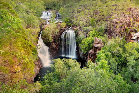 Full-Day Private Guided Tour To Litchfield National Park - Surfers Gold Coast 0