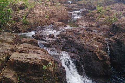 Full-Day Private Guided Tour To Litchfield National Park - Surfers Gold Coast 15