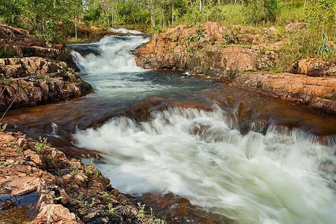 Full-Day Private Guided Tour To Litchfield National Park - Surfers Gold Coast 3