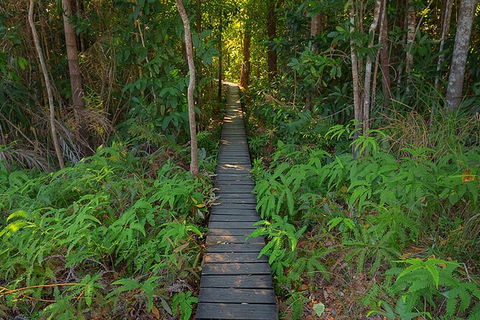 Full-Day Private Guided Tour To Litchfield National Park - Surfers Gold Coast 7