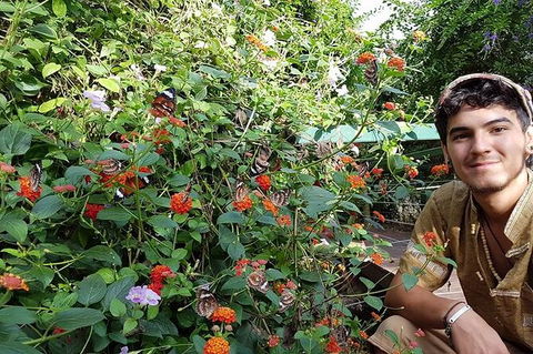 Full-Day Private Guided Tour To Litchfield National Park - Surfers Gold Coast 17