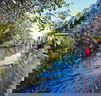 Serenity Cruise to Australia's Everglades - Surfers Gold Coast