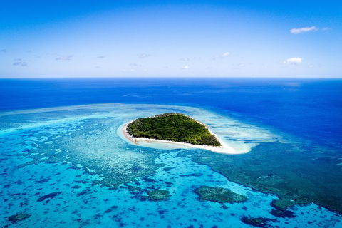 Lady Musgrave Day Trip From Bundaberg Including Snorkeling, Glass Bottom Tour And Guided Island Walk - Surfers Gold Coast 0