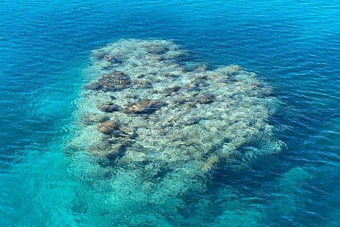 Lady Musgrave Day Trip From Bundaberg Including Snorkeling, Glass Bottom Tour And Guided Island Walk - Surfers Gold Coast 2