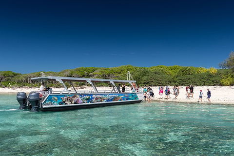 Lady Musgrave Day Trip From Bundaberg Including Snorkeling, Glass Bottom Tour And Guided Island Walk - Surfers Gold Coast 5