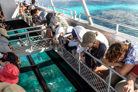Lady Musgrave Day Trip From Bundaberg Including Snorkeling, Glass Bottom Tour And Guided Island Walk - Surfers Gold Coast 3