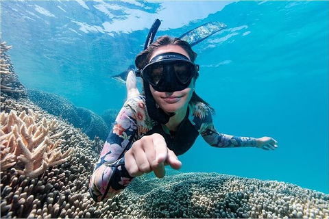 Lady Musgrave Day Trip From Bundaberg Including Snorkeling, Glass Bottom Tour And Guided Island Walk - Surfers Gold Coast 1