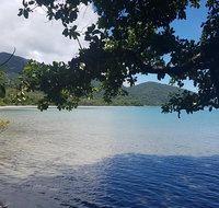 Full Day Tour in the Daintree - Surfers Gold Coast