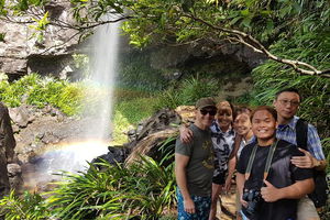 Small group Gold Coast Mountain Tour: Springbrook National Park and Mt Tamborine