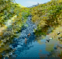 Cruise 'n' Canoe to Australia's Everglades - Surfers Gold Coast